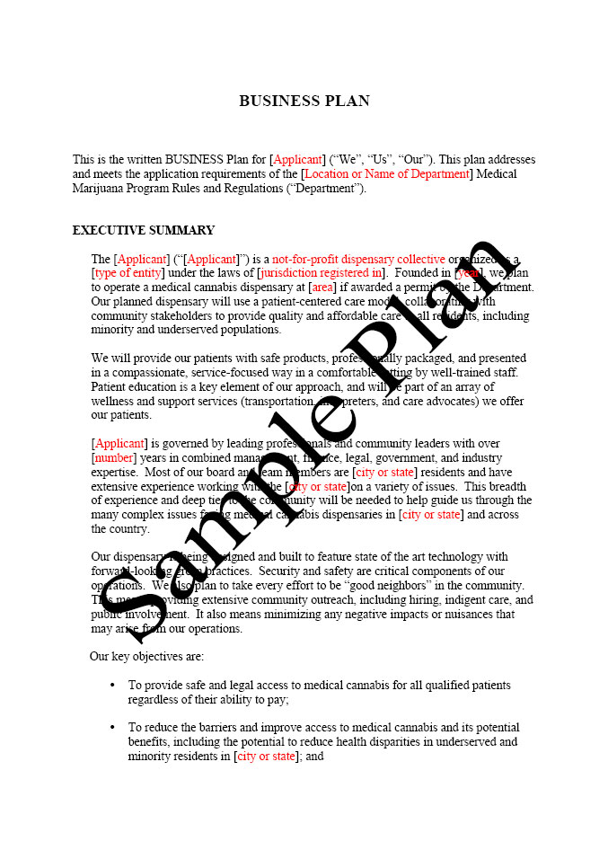 business plan writing example