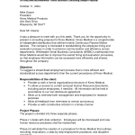 business proposal template