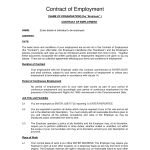 Employment Contract Sample