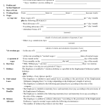 Employment Contract Sample