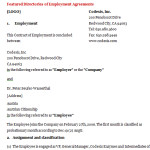 Employment Contract Sample