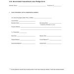 Loan Agreement Form