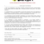 Release And Waiver Of Liability Agreement 